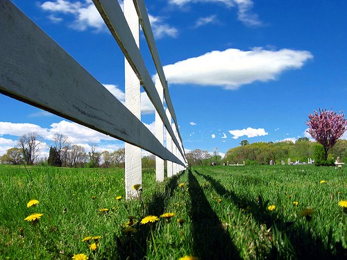 Three rail farm fence